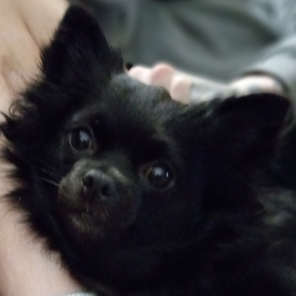 Meet your Posher, Freya EightyEight - Picture 1 of 16